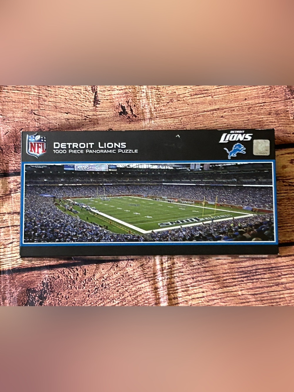1000-Piece Panoramic Stadium Puzzle - Blue‎